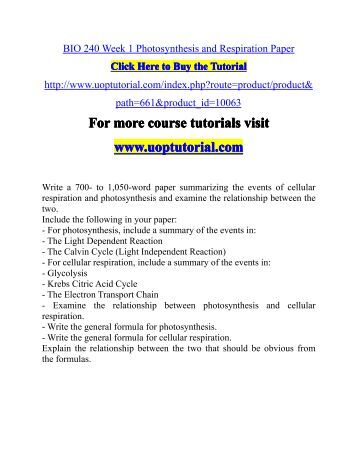 Essay Myself Photosynthesis And Cellular Respiration Essay Questions Review Questions For Photosynthesis And Review Questions For Photosynthesis And Custom Written Essay also Benjamin Franklin Essays Photosynthesis And Cellular Respiration Essay Questions Custom Paper Les Miserables Essay