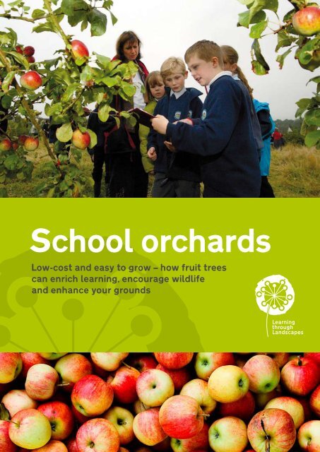 Huertos de árboles frutales en las escuelas