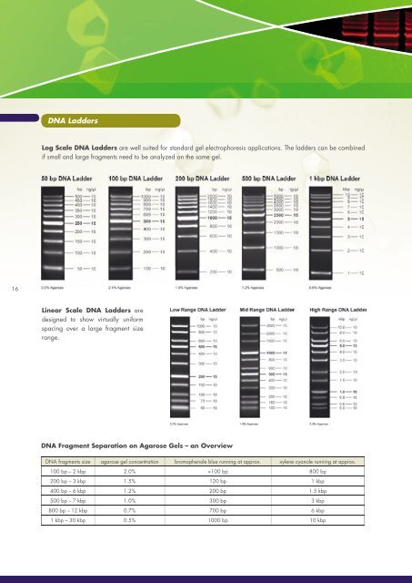 Standard PCR – Product Selection Guide - Jena Bioscience