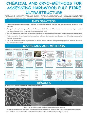 ASSESSING HARDWOOD PULP FIBRE ULTRASTRUCTURE