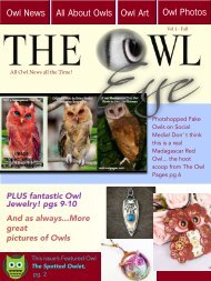 owl_eye_001.pdf