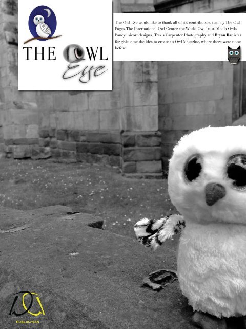 owl_eye_001.pdf