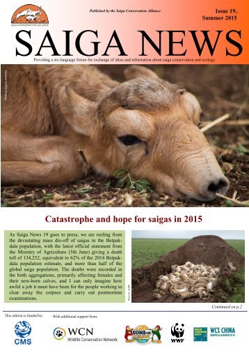 SAIGA NEWS