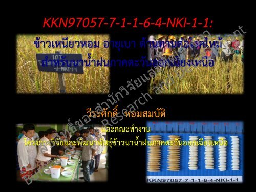 à¸à¸²à¸§à¸à¹à¹à¸«à¸¥à¸à¹à¸à¸¥à¹à¸à¸³à¹à¸ªà¸à¸­ - à¸ªà¸³à¸à¸±à¸à¸§à¸´à¸à¸±à¸¢à¹à¸¥à¸°à¸à¸±à¸à¸à¸²à¸à¹à¸²à¸§