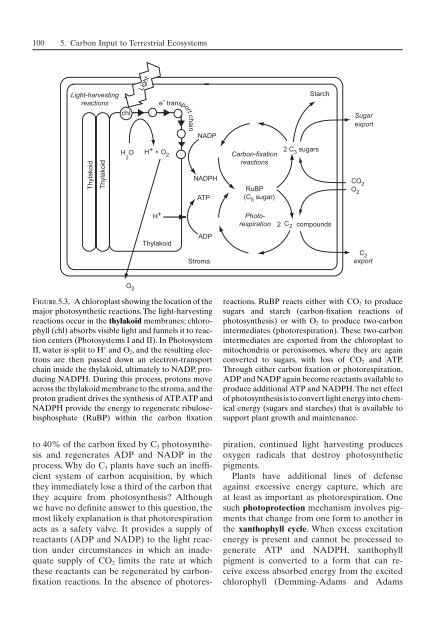 Principles of terrestrial ecosystem ecology.pdf