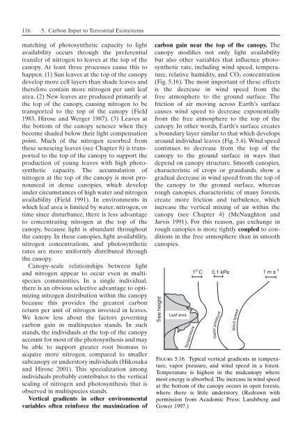 Principles of terrestrial ecosystem ecology.pdf