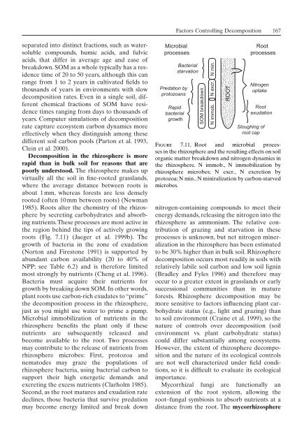 Principles of terrestrial ecosystem ecology.pdf