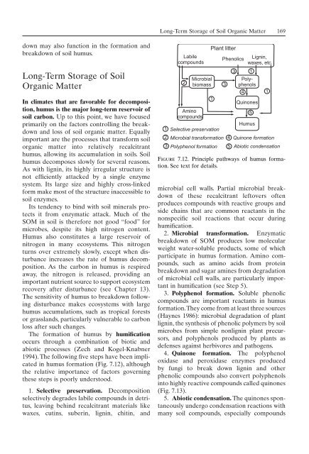 Principles of terrestrial ecosystem ecology.pdf