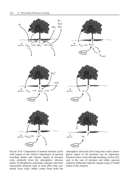 Principles of terrestrial ecosystem ecology.pdf