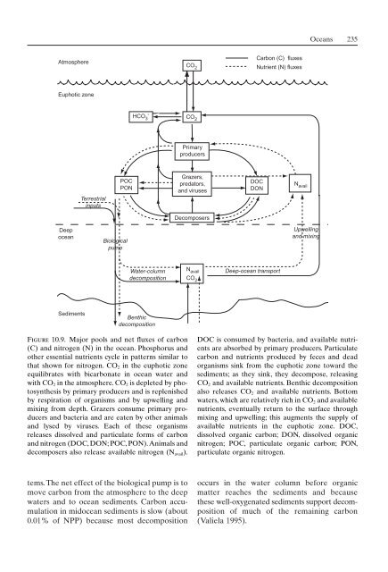 Principles of terrestrial ecosystem ecology.pdf