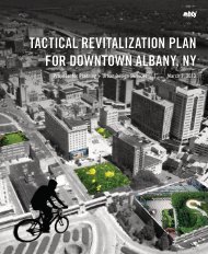 TACTICAL REVITALIZATION PLAN FOR DOWNTOWN ALBANY NY