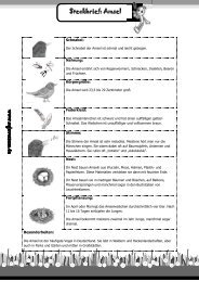 Steckbrief Amsel