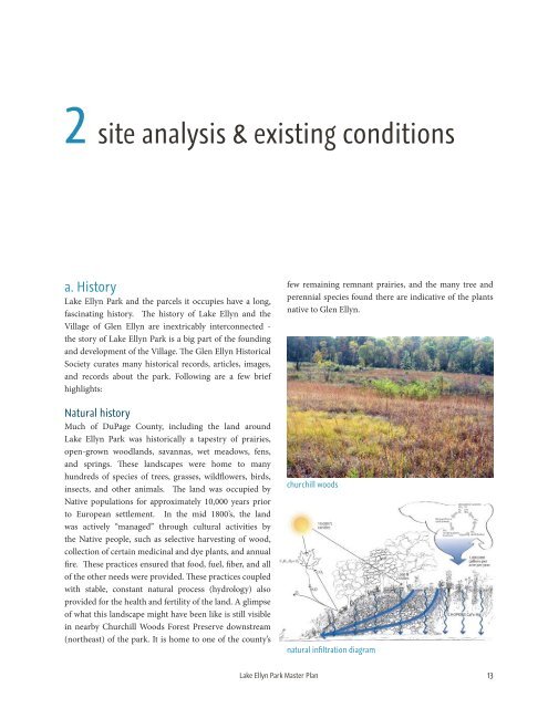 Lake Ellyn Park 2013 Master Plan