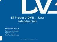 El Proceso DVB – Una introducción