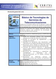 Básico de Tecnologías de Servicios de Telecomunicaciones