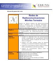 Redes de Radiocomunicaciones Móviles Terrestre