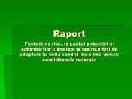 Raport