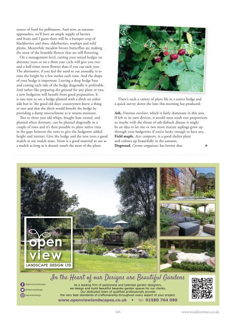 Wealden Times | WT163 | September 2015 | Education supplement inside