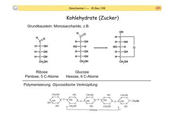 C - Geobiologie