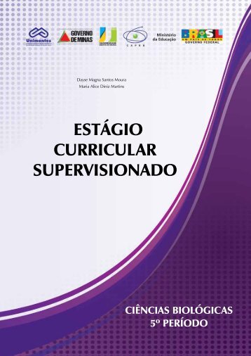 ESTÁGIO CURRICULAR SUPERVISIONADO