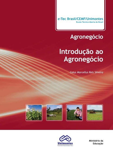 Carne de cavalo é permitida no Brasil? Faz mal? Tire dúvidas, Agronegócios