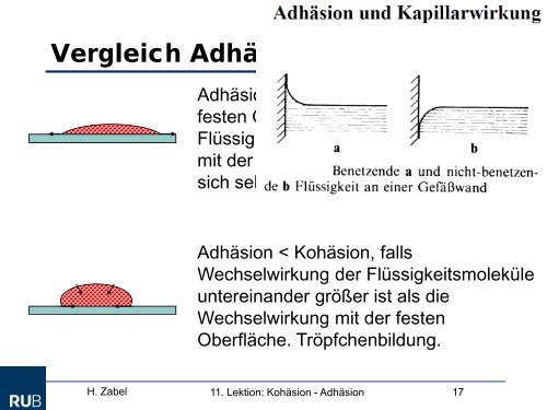 Kohäsion und Adhäsion