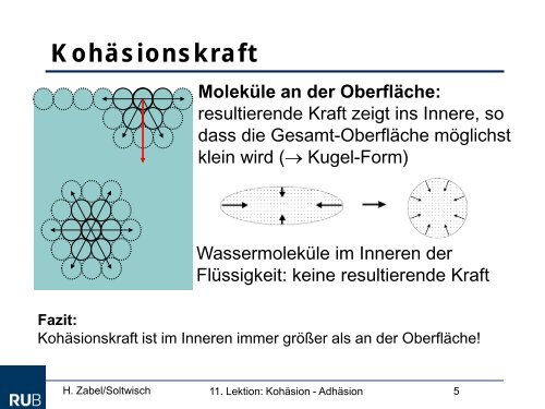 Kohäsion und Adhäsion