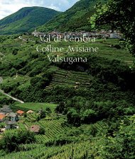 Val di Cembra Colline Avisiane Valsugana