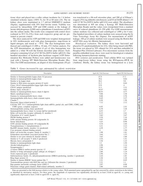 Increased susceptibility of aging kidney to ... - Renal Physiology