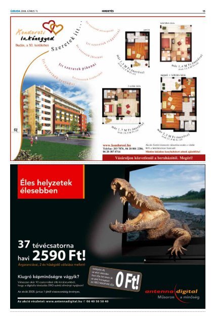 Puma társkereső szolgáltatás kereskedelmi