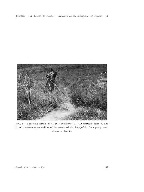 Research on the mosquitoes of Angola - Systematic Catalog of ...