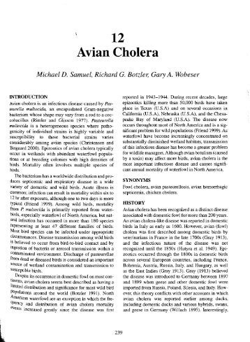 12 Avian Cholera