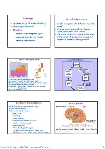 Sexology Sexual intercourse