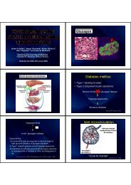 Glucagon Diabetes mellitus Islet microcirculation