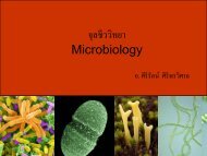 จุลชีววิทยา Microbiology