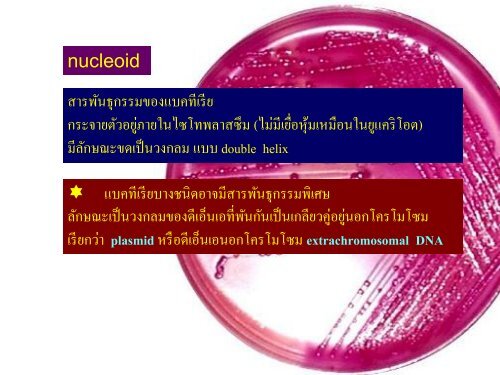 จุลชีววิทยา Microbiology