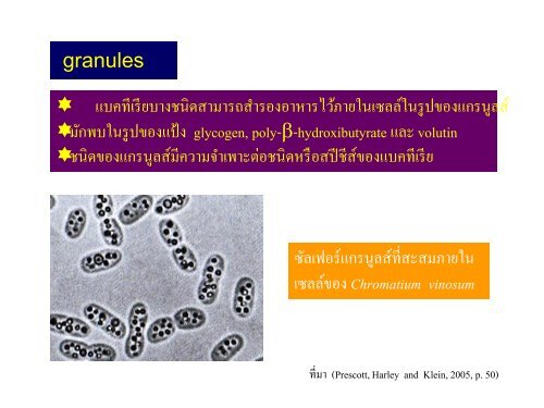 จุลชีววิทยา Microbiology