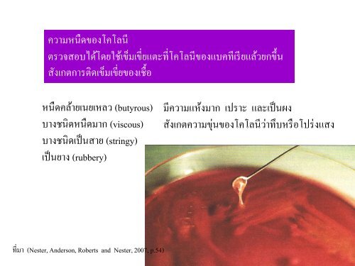 จุลชีววิทยา Microbiology