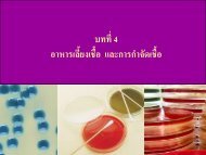 à¸ªà¹à¸¥à¸à¹à¸à¸£à¸°à¸à¸­à¸à¸à¸²à¸£à¸à¸£à¸£à¸¢à¸²à¸¢