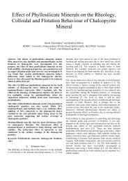 Effect of Phyllosilicate Minerals on the Rheology, Colloidal and ...