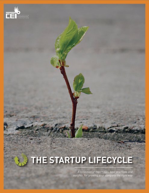 THE STARTUP LIFECYCLE