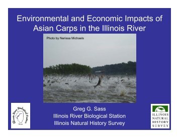 Environmental and Economic Impacts of Asian Carps in the Illinois River