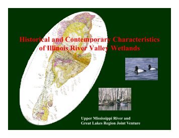 Historical and Contemporary Characteristics of Illinois River Valley Wetlands