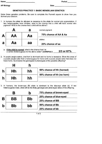 Genetics Problems Worksheet Answer Key