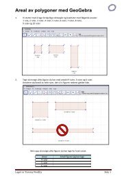 Areal av polygoner med GeoGebra