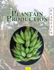 Plantain - Guyana Marketing Corporation