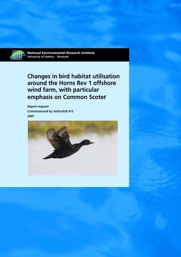 Changes in bird habitat utilisation around the Horns Rev 1 offshore ...