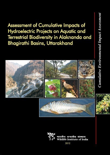 Cumulative Environmental Impact Assessment - International Rivers