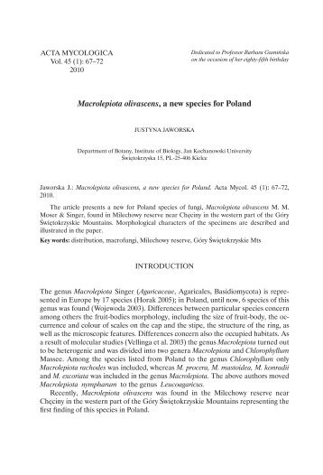 Macrolepiota olivascens, a new species for Poland