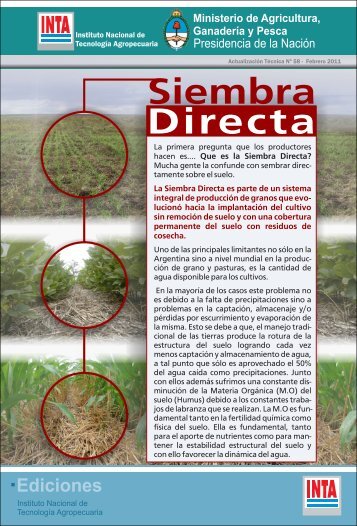 Directa